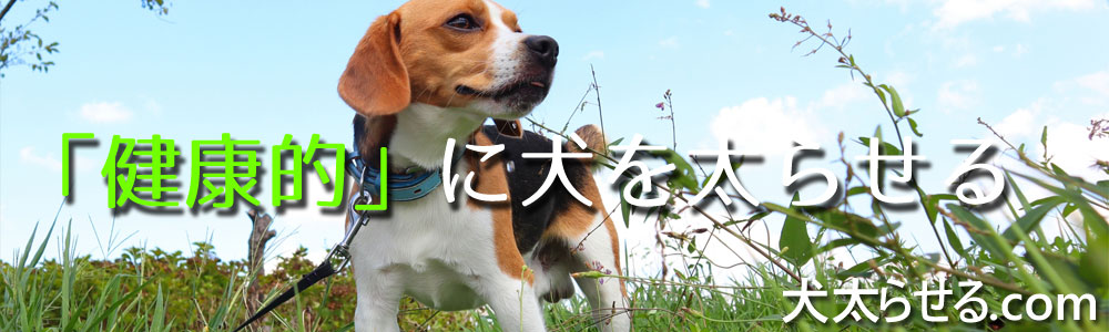 ̑𑾂点@y̌kz